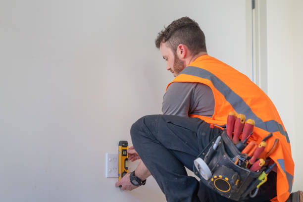 Best Residential Electrician Services  in Roanoke, AL